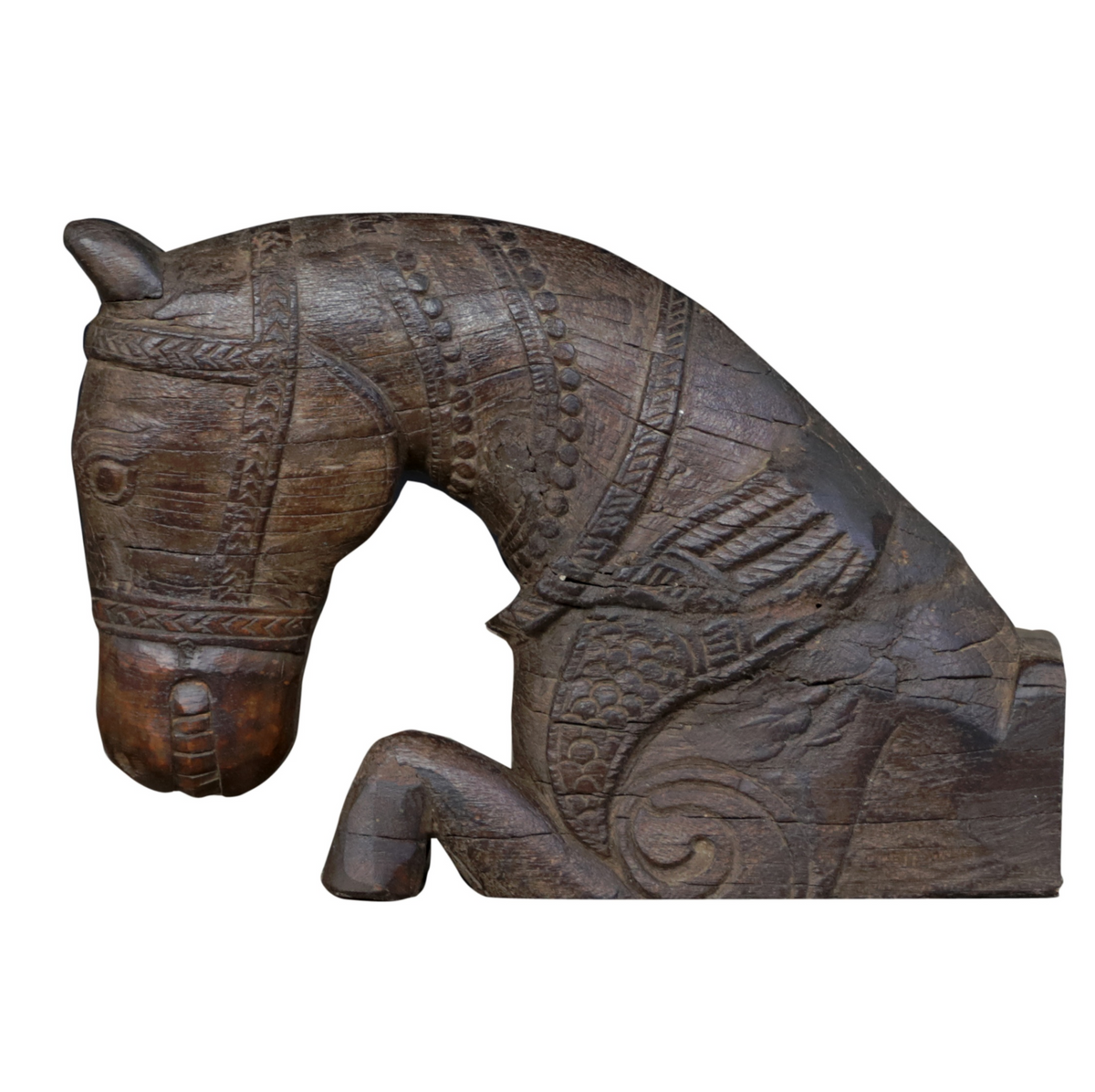 Indian Horse Head
