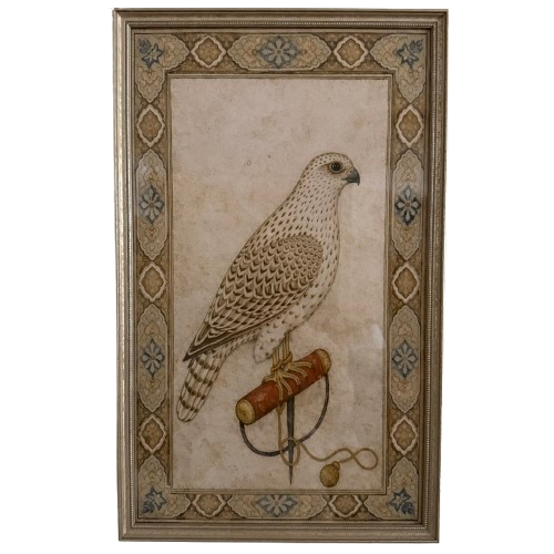 A Pair of Falcon's