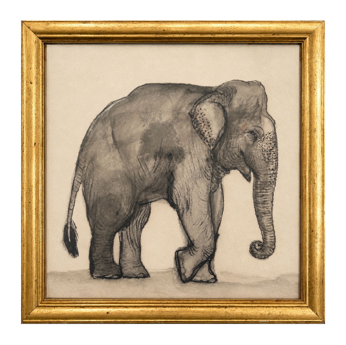 Elephant print
