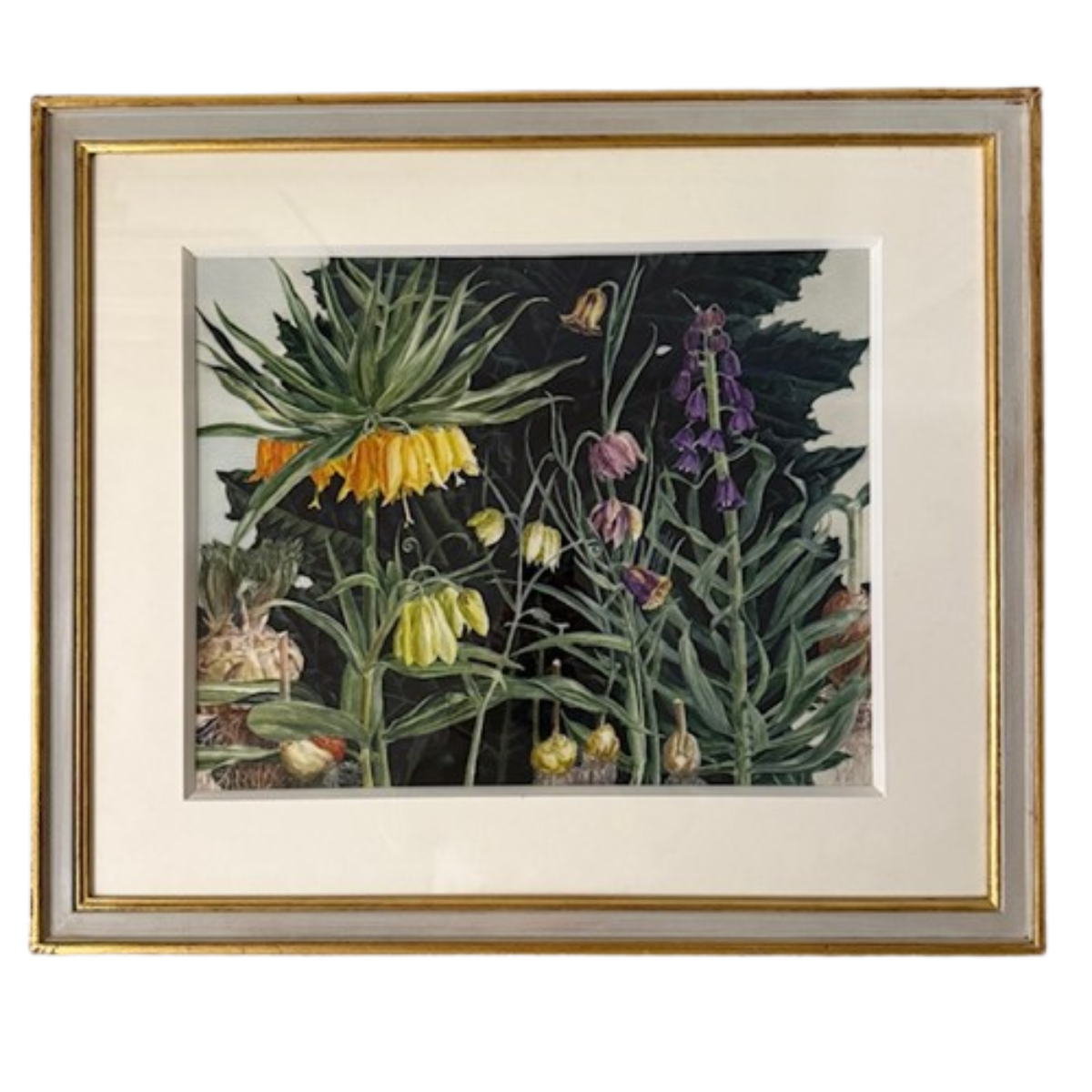 Botanical Print Of Fritillarias