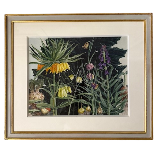 Botanical Print Of Fritillarias