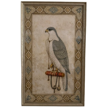 A Pair of Falcon's