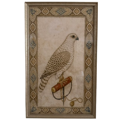 A Pair of Falcon's