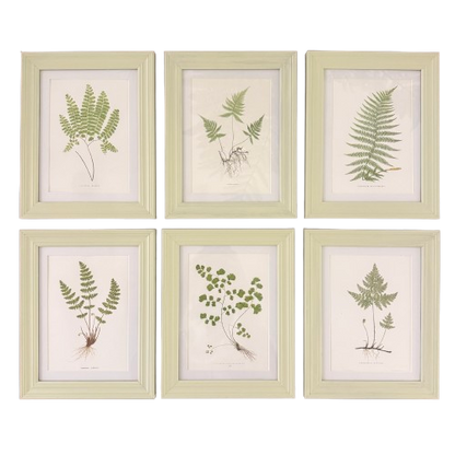 Set of Six Small Fern Prints