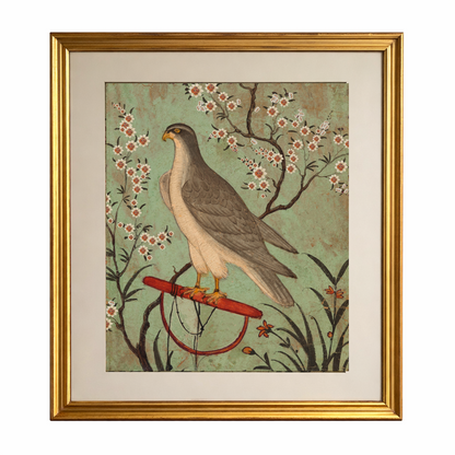 A Pair Falcon Prints In Hand Painted Frames