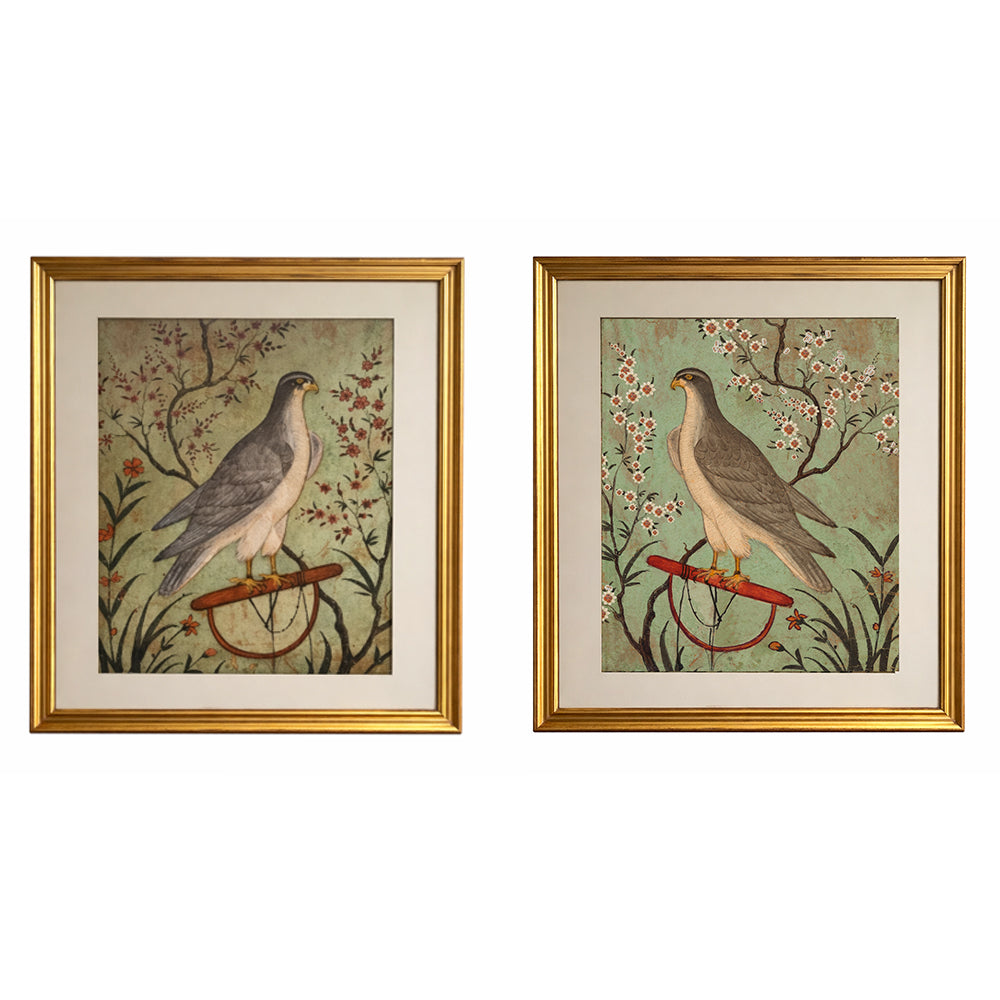A Pair Falcon Prints In Hand Painted Frames