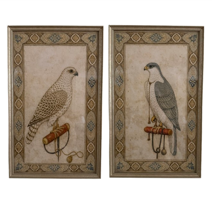 A Pair of Falcon's