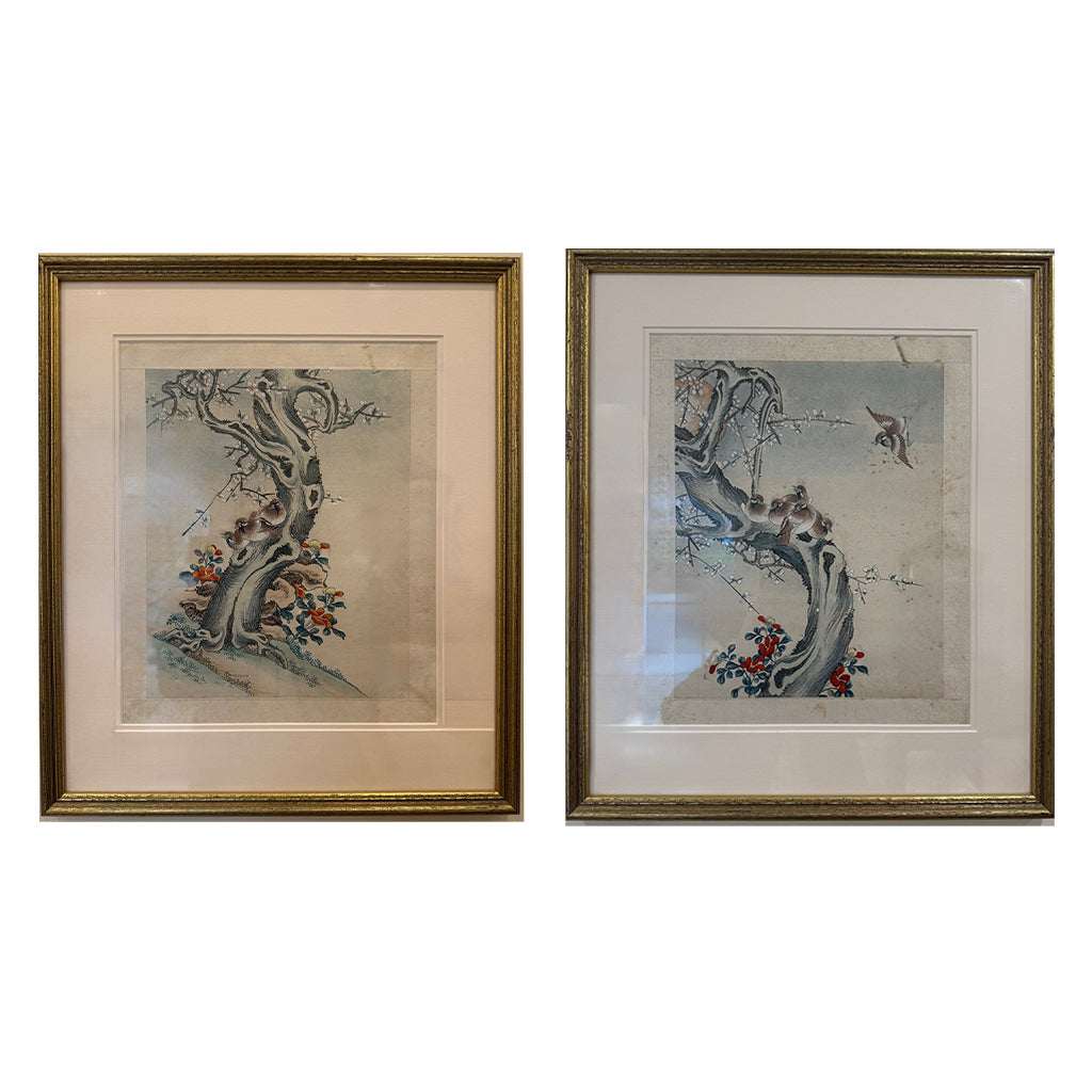 Framed Watercolour Paintings of Birds and Blossoming Trees