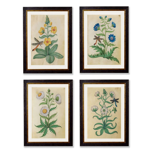 Set Of Four Wildflower Prints