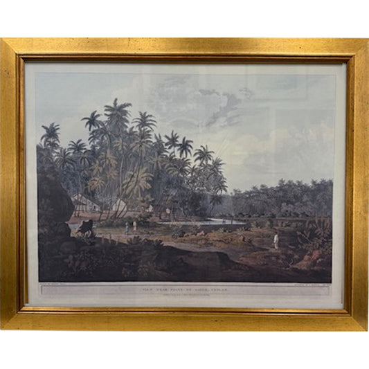 Henry Salt - View Near Point De Galle Ceylon